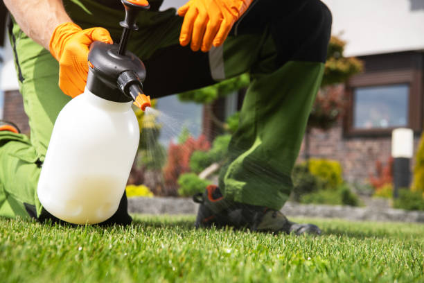 Best Pest Control Near Me  in Paden City, WV