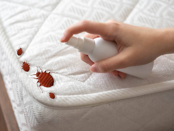 Pest Prevention Services in Paden City, WV